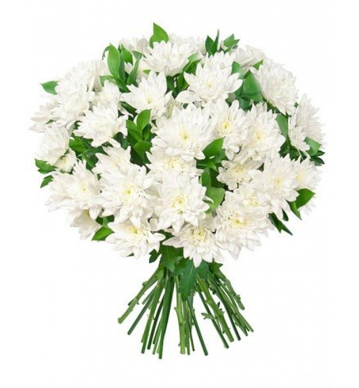 Букет 15 хризантем